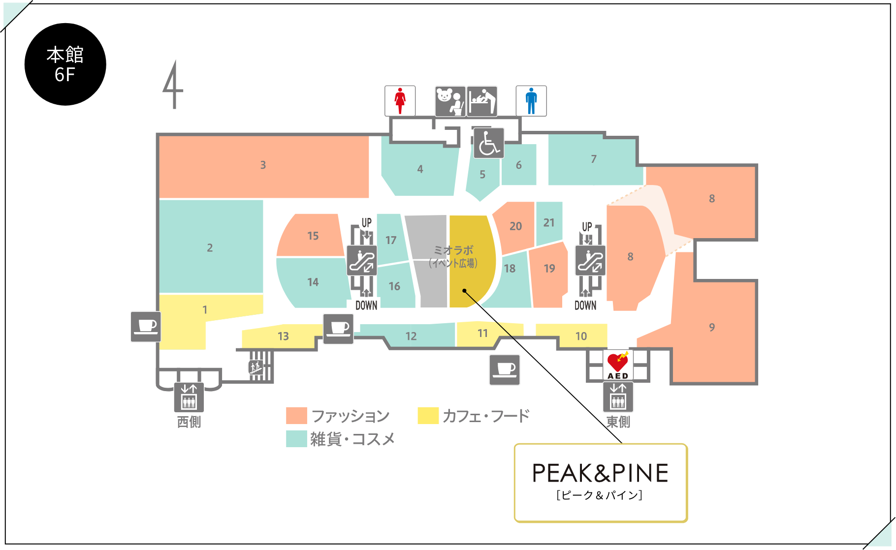 本館6F