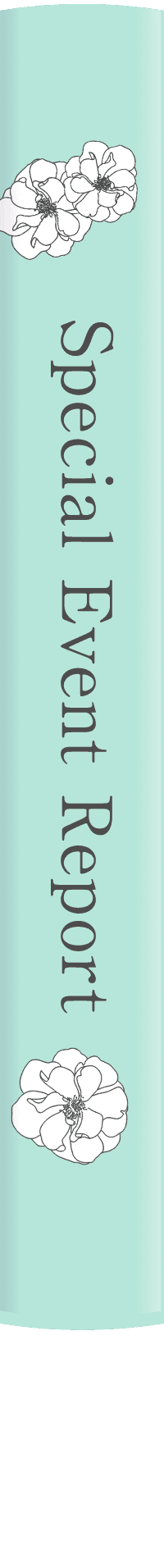 Special Event Report