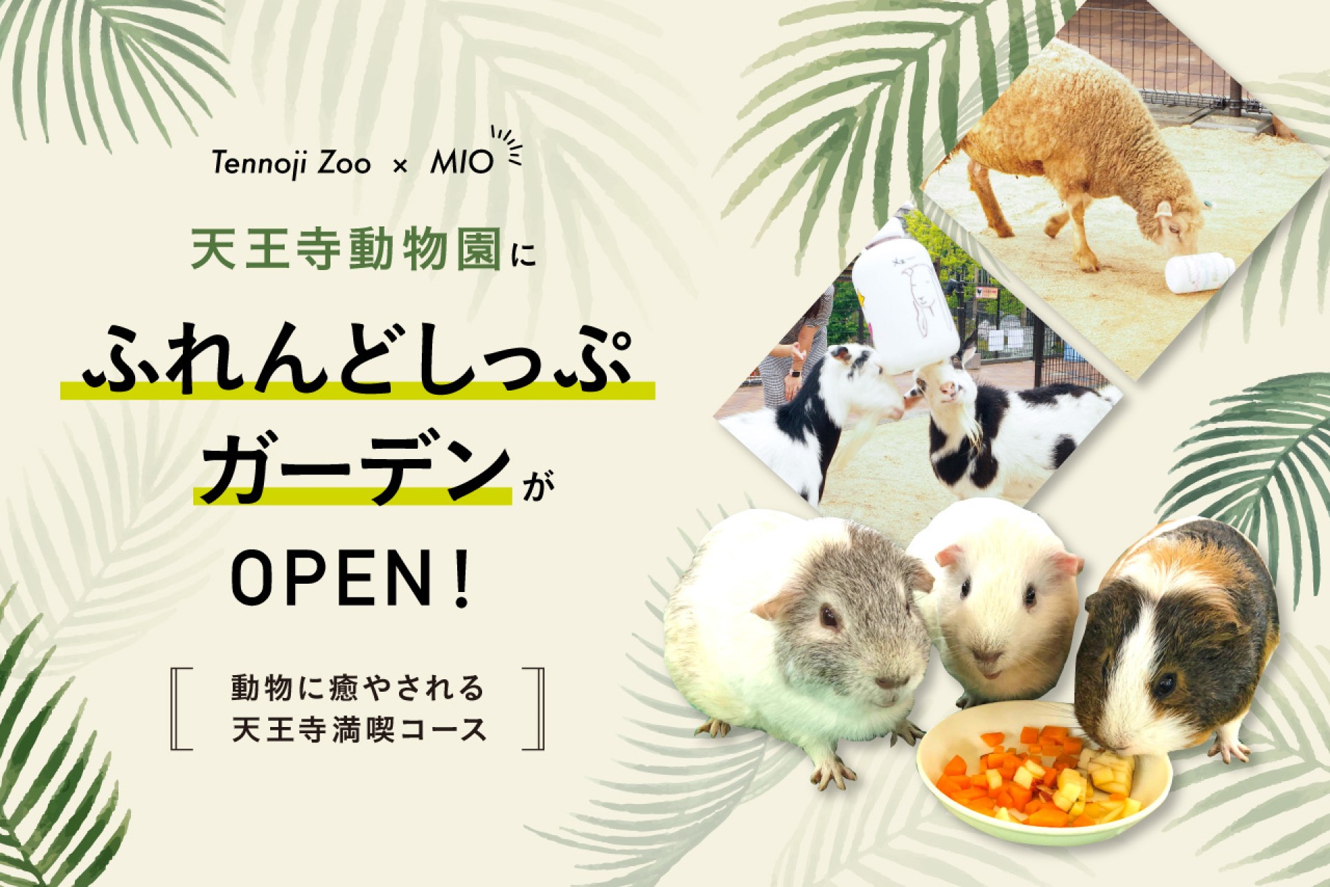 天王寺動物園「ふれんどしっぷガーデン」を満喫！天王寺を1日楽しむお出かけコース