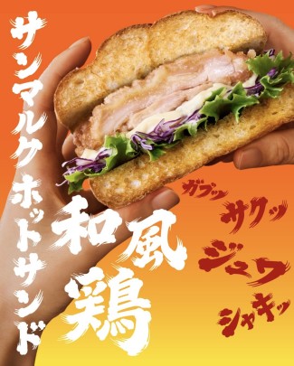 スライド画像