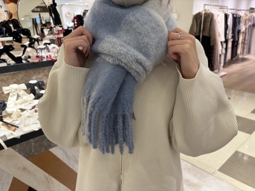 スライド画像
