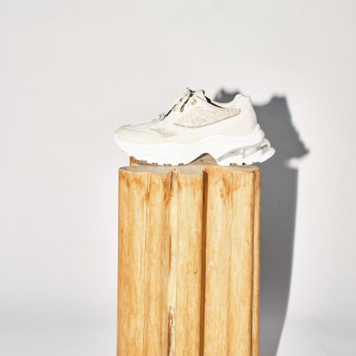 新着アイテムイメージ