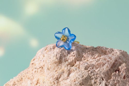 新着アイテムイメージ