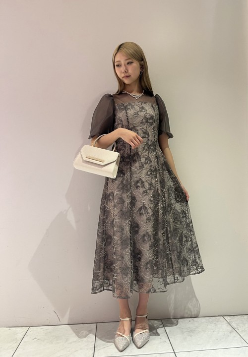 スライド画像