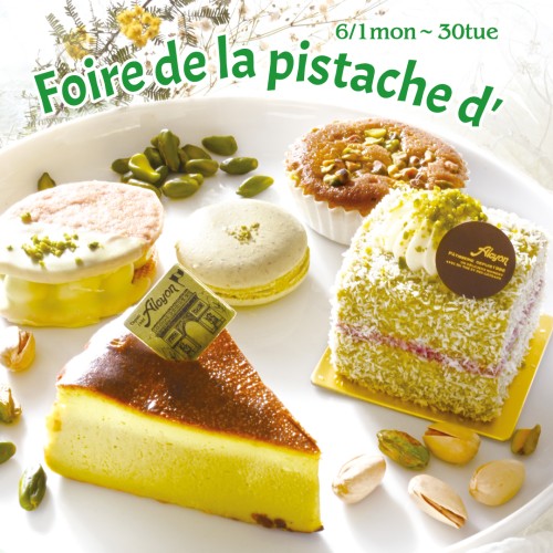スライド画像