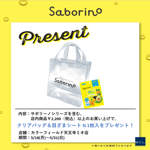 スライド画像