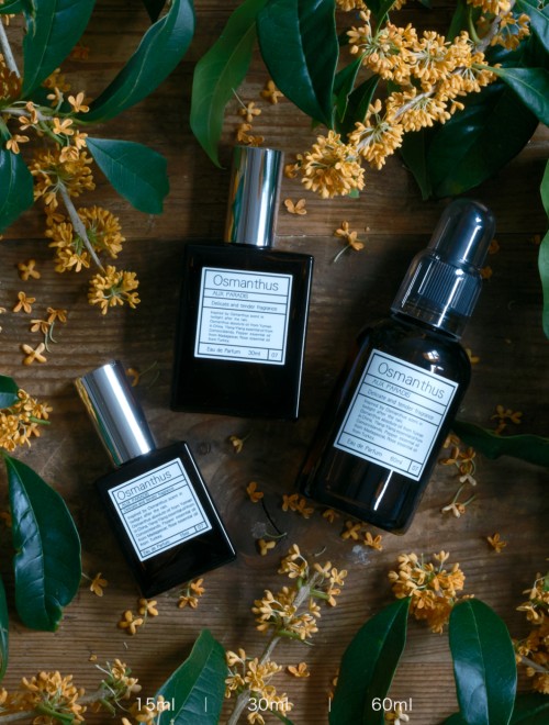 新着アイテムイメージ